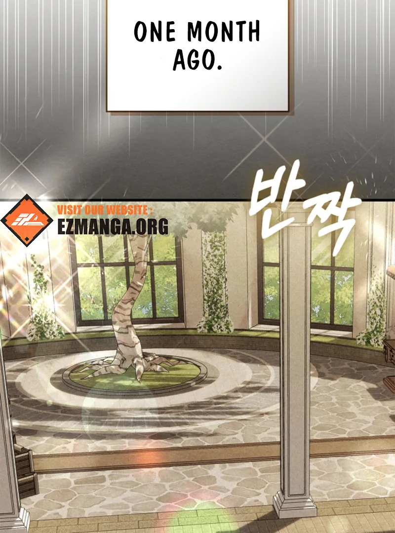 The Countess Who Ran Away Has Returned Chapter 25 - Page 2