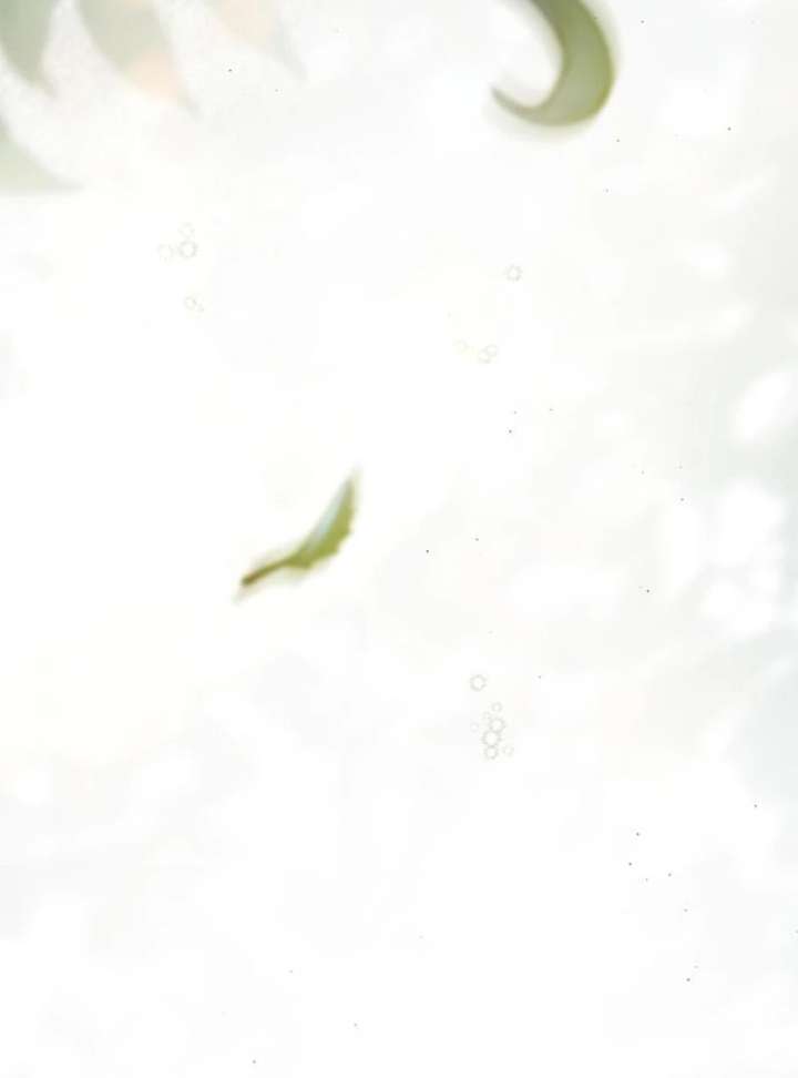 The Count’s Secret Maid Chapter 58 - Page 116