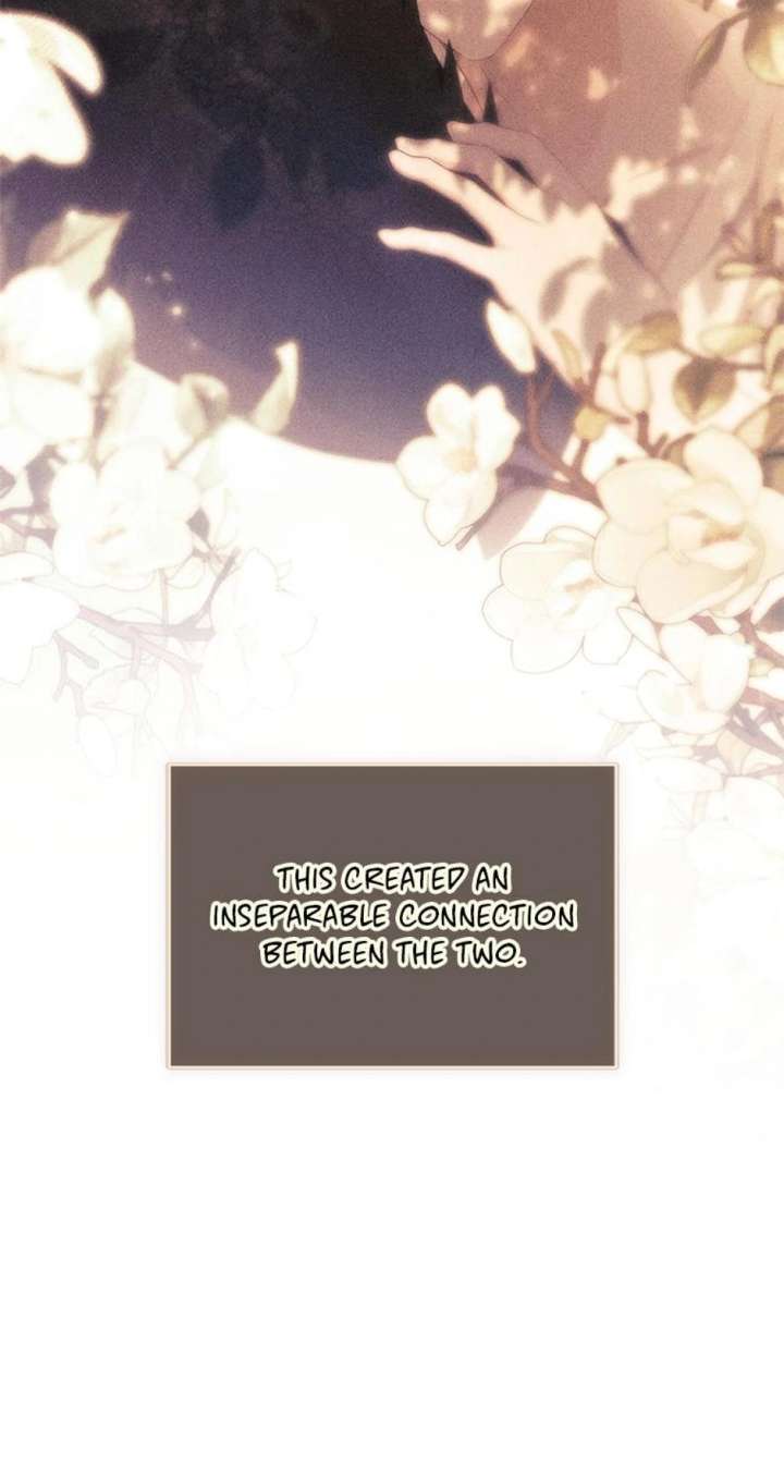 The Cute Little Saintess Chapter 84 - Page 48