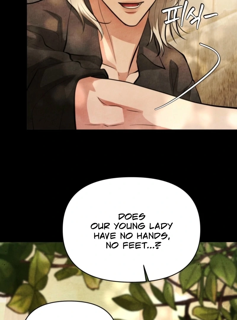 The Demon of Lust has Possessed the Young Lady Chapter 3 - Page 96