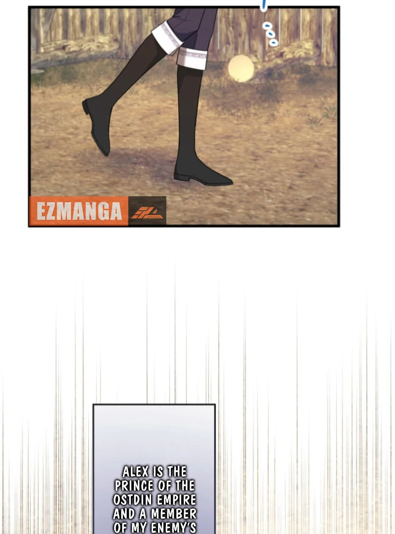 The Desire of the Princess From a Fallen Kingdom Chapter 17 - Page 36