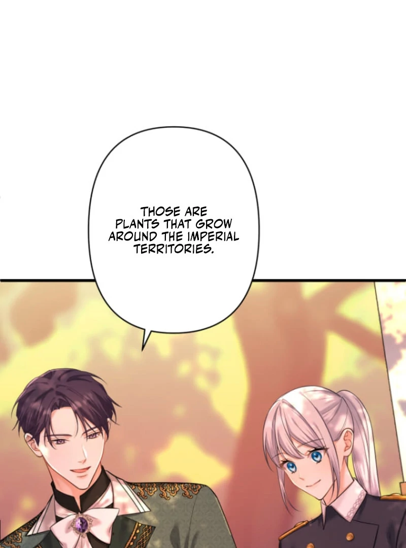 The Desire of the Princess From a Fallen Kingdom Chapter 17 - Page 67