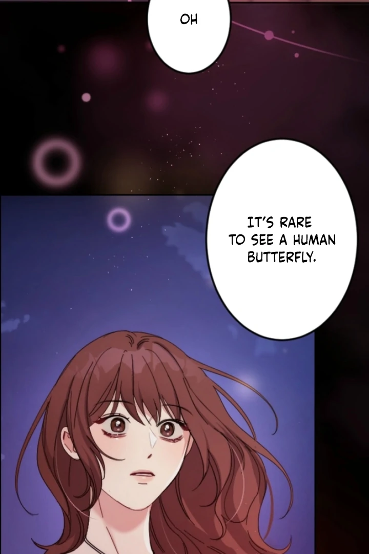 The Dream Brothel and the Sleepless Butterfly Chapter 1 - Page 132