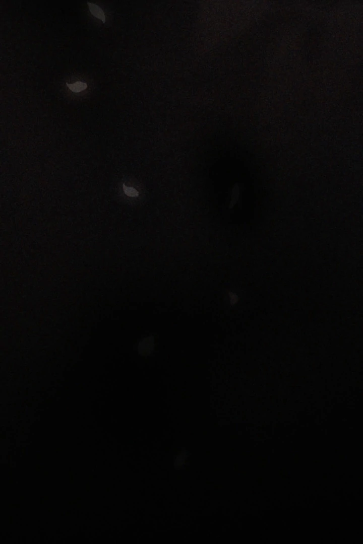 The Dream Brothel and the Sleepless Butterfly Chapter 10 - Page 24