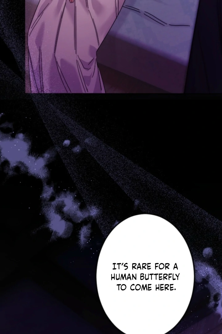 The Dream Brothel and the Sleepless Butterfly Chapter 2 - Page 98