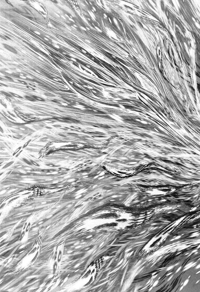 The Elusive Samurai Chapter 224 - Page 17