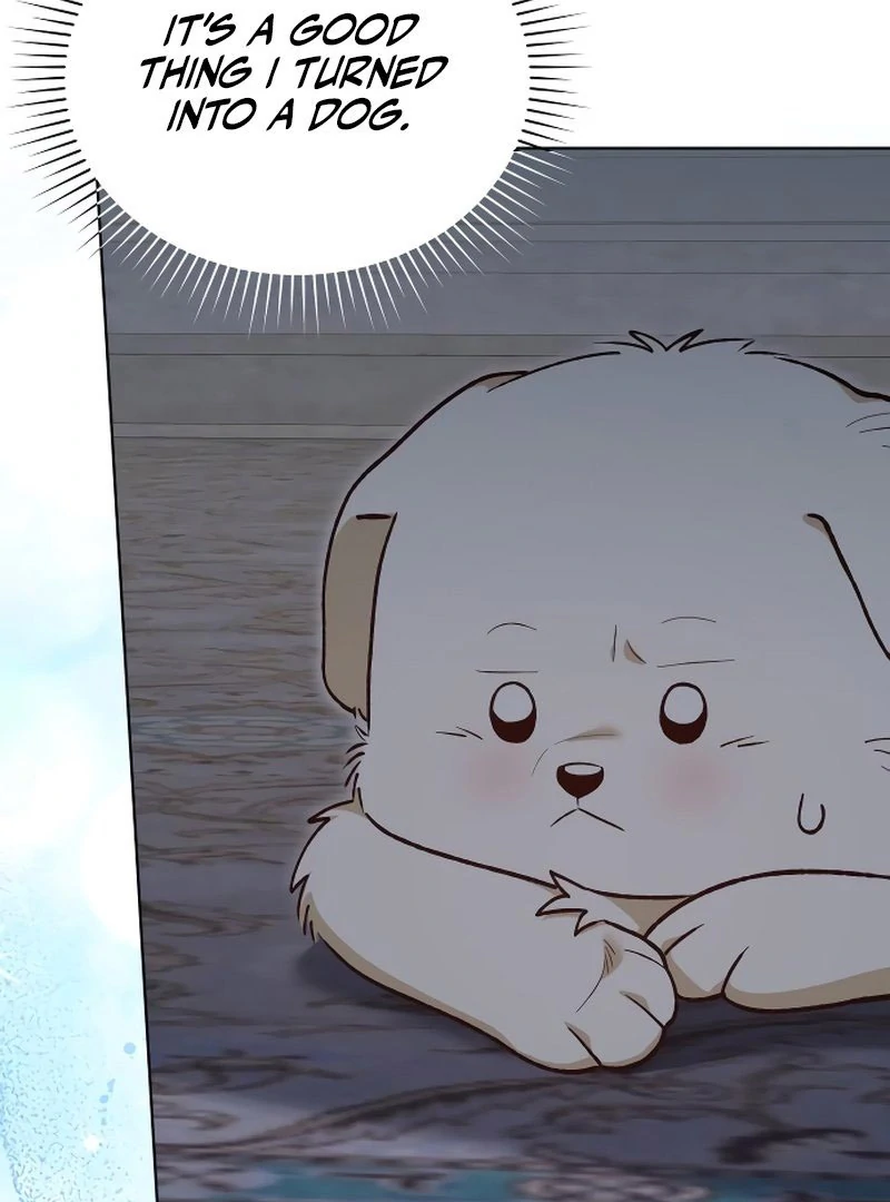 The Emperor’s Dog Chapter 45 - Page 18