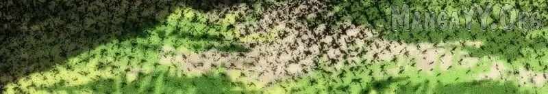 The End of the World: The Emperor Banner invites all female disciples to take their seats Chapter 37 - Page 105