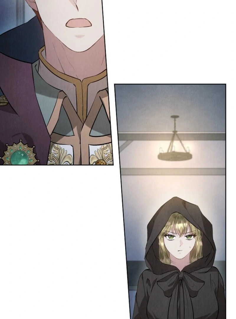 The Extra Decided to Be Fake Chapter 47 - Page 42