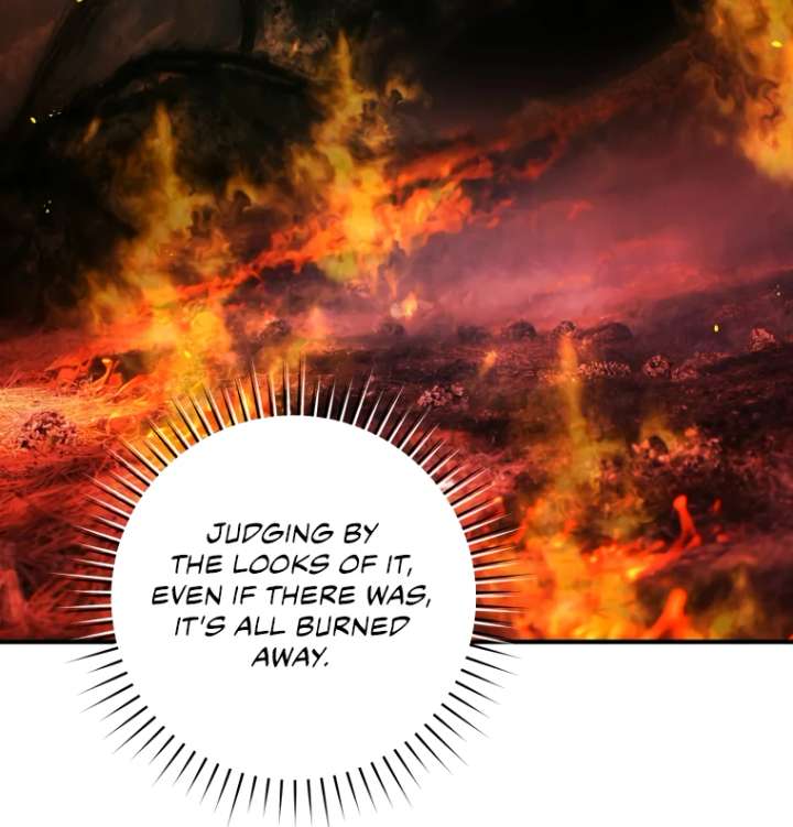 The Flower Who Bears The Sword The Flower Who Bears The Sword Chapter 45 - Page 49