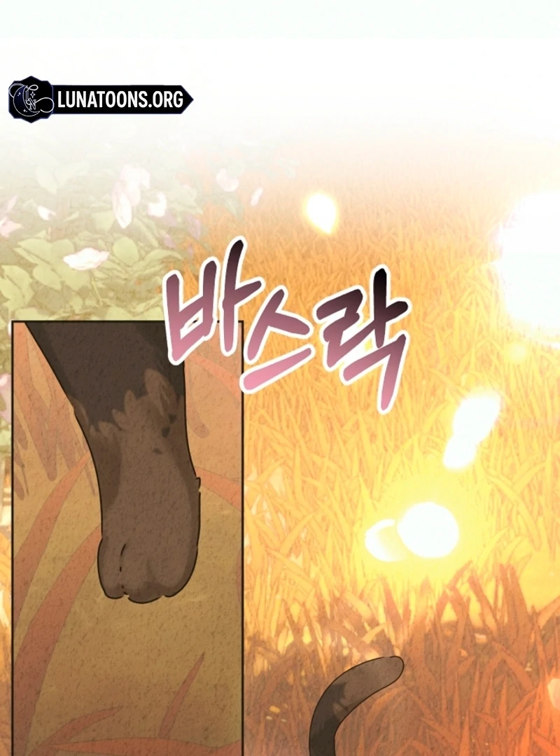 The Forsythia Mansion: First Night After the Divorce Chapter 0.1 - Page 20