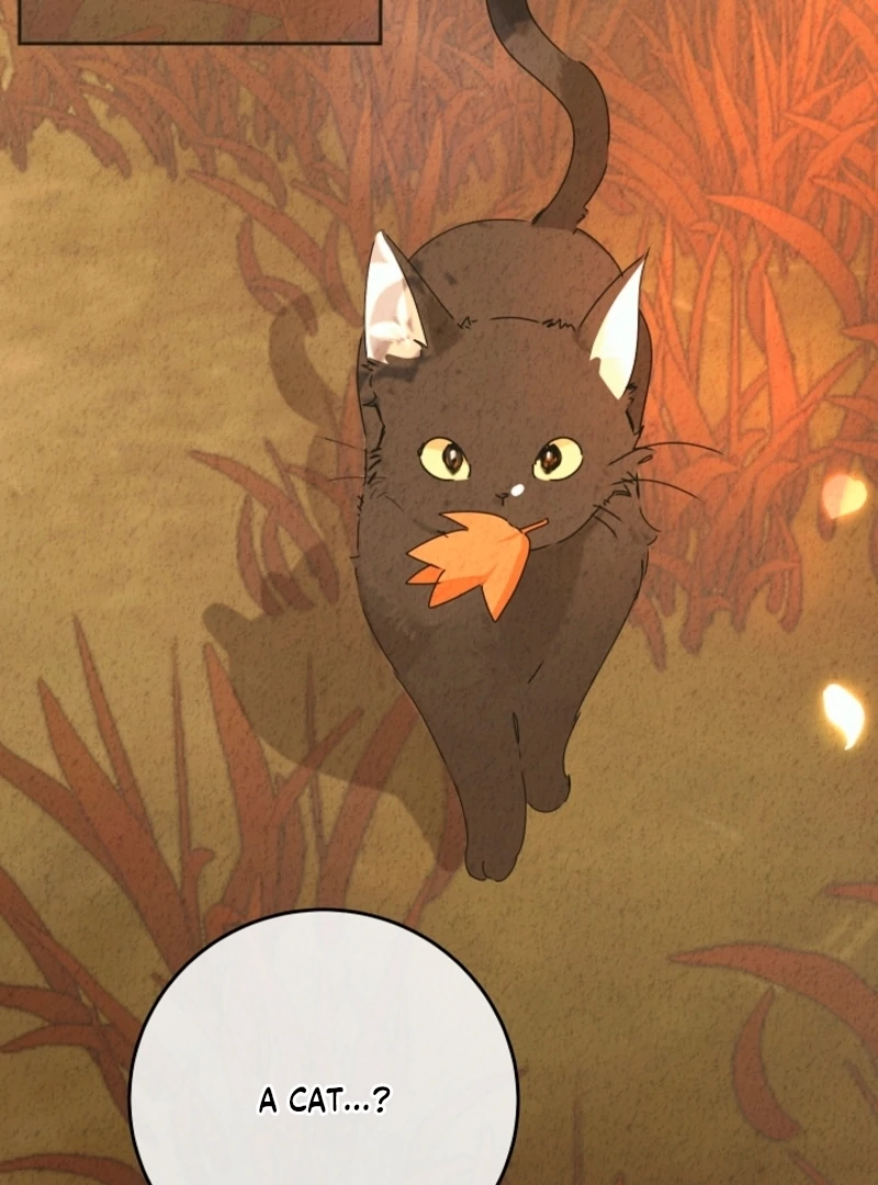 The Forsythia Mansion: First Night After the Divorce Chapter 0.1 - Page 21