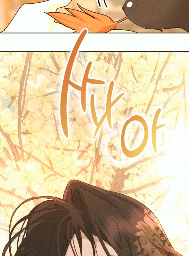 The Forsythia Mansion: First Night After the Divorce Chapter 0.1 - Page 24