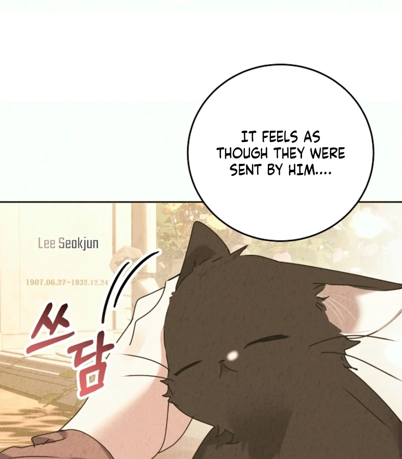 The Forsythia Mansion: First Night After the Divorce Chapter 0.1 - Page 26