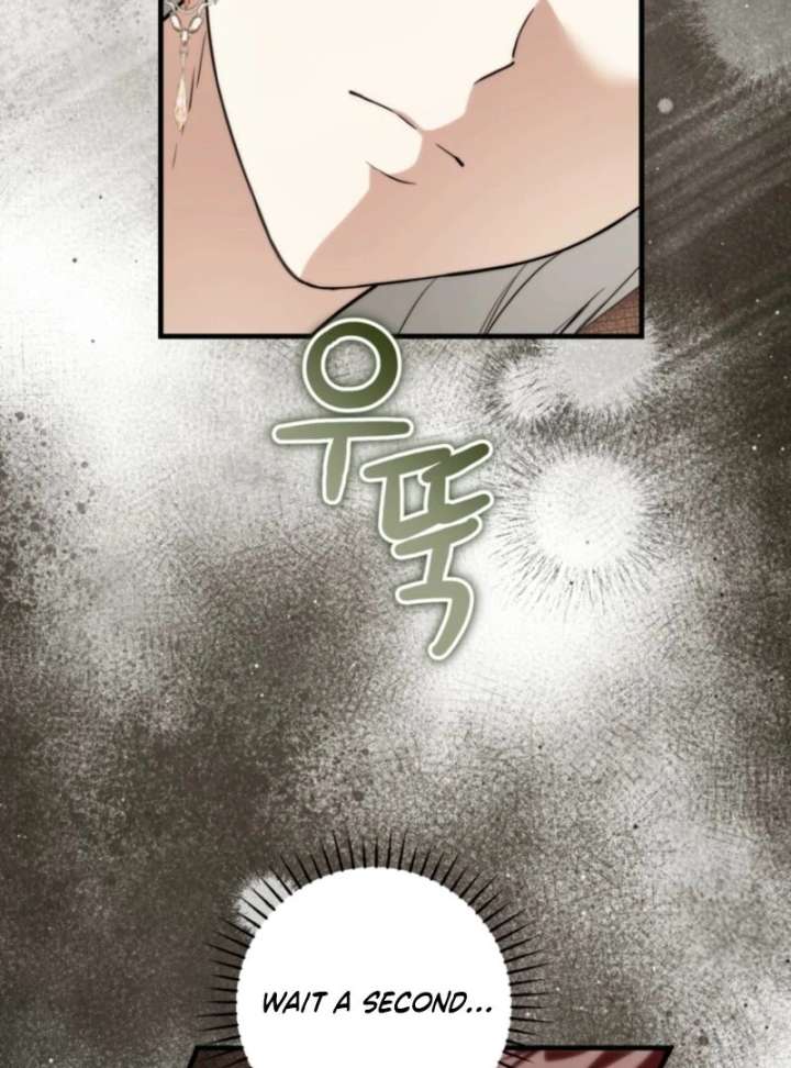 The Heroine Wants Me as Her Sister-in-Law Chapter 96 - Page 82