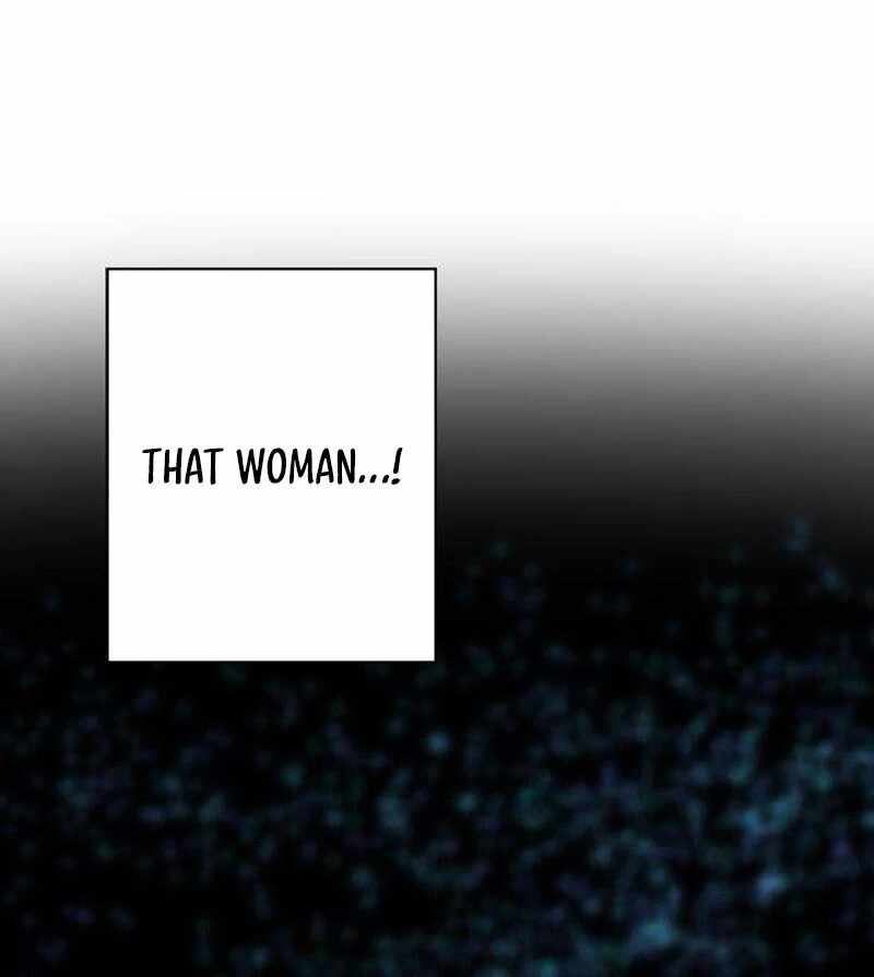 The Masked Revolution is Just for Your Sake Chapter 5 - Page 246