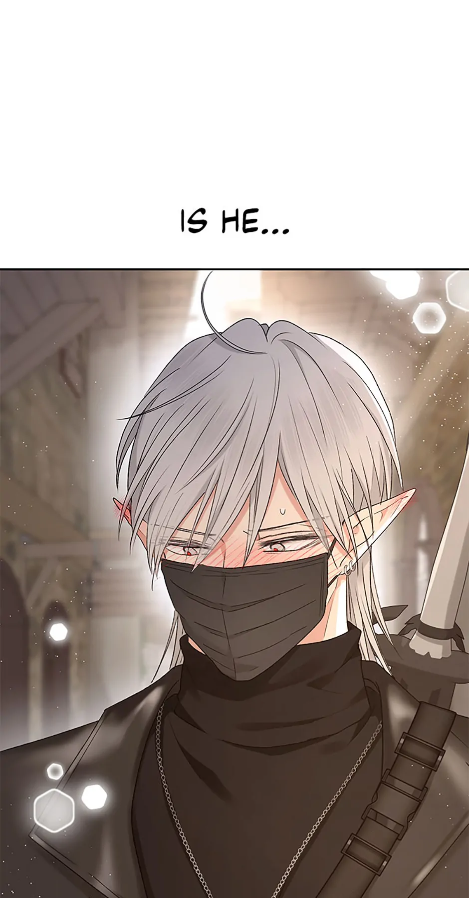 The Mating of Elves Chapter 20 - Page 74