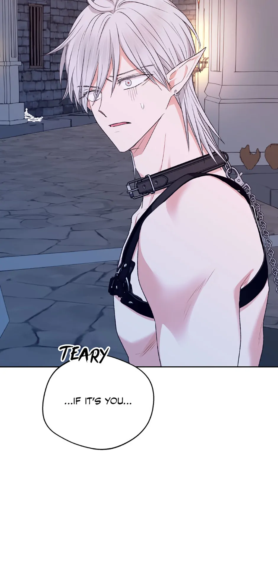 The Mating of Elves Chapter 32 - Page 17