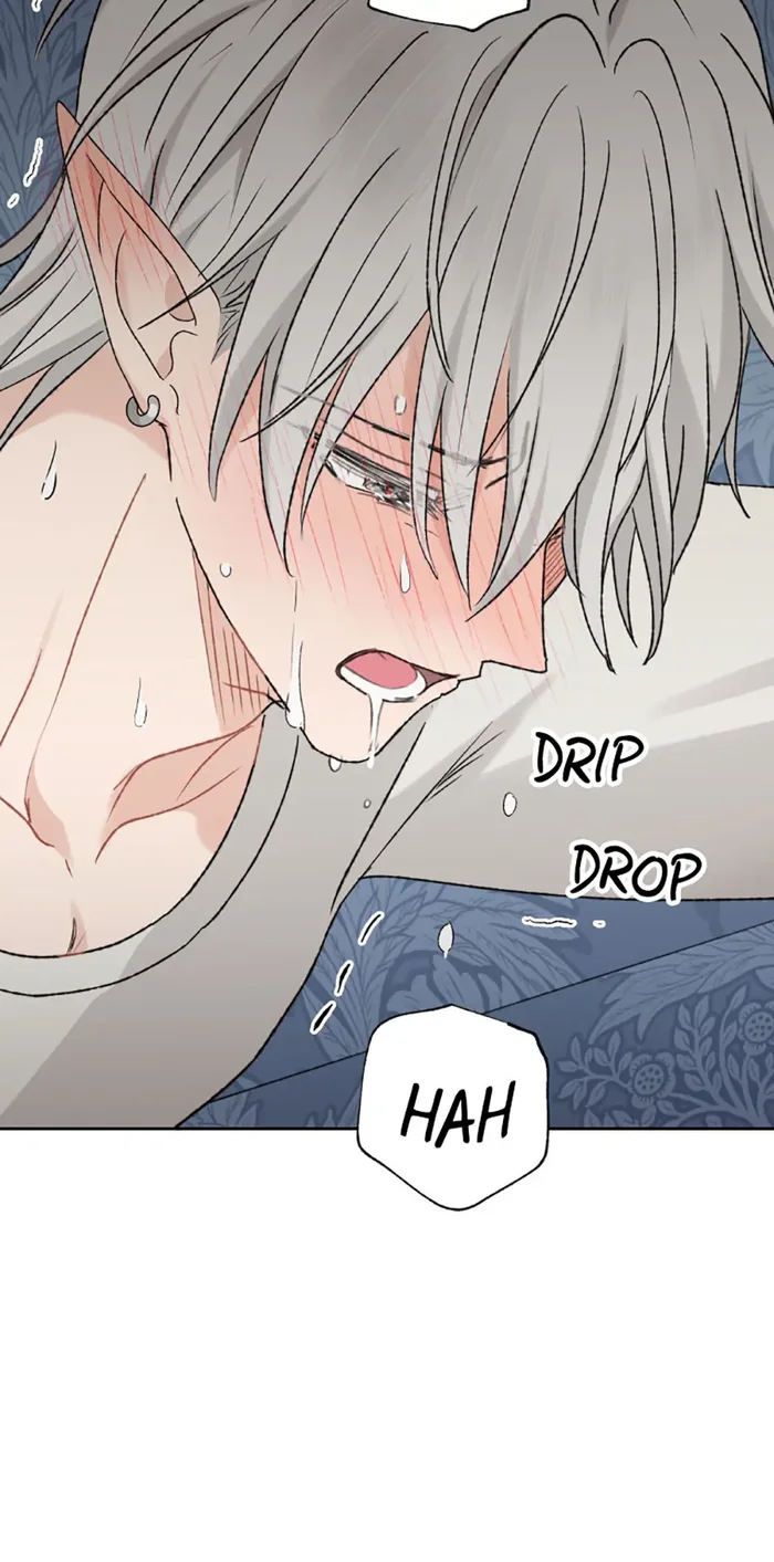 The Mating of Elves Chapter 40 - Page 25