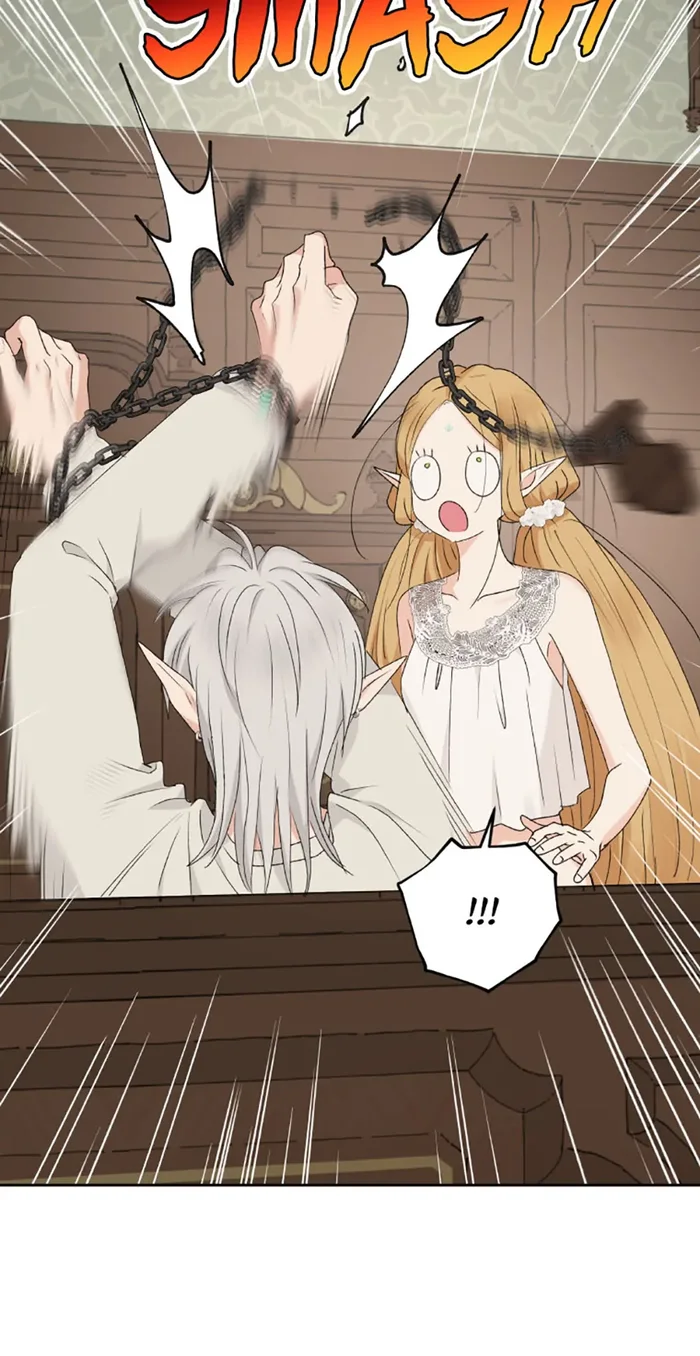 The Mating of Elves Chapter 43 - Page 12