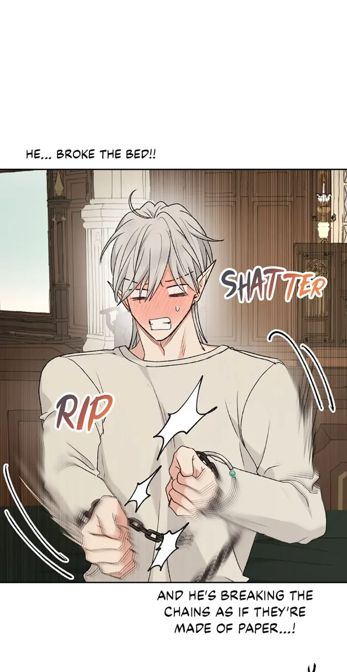 The Mating of Elves Chapter 43 - Page 13