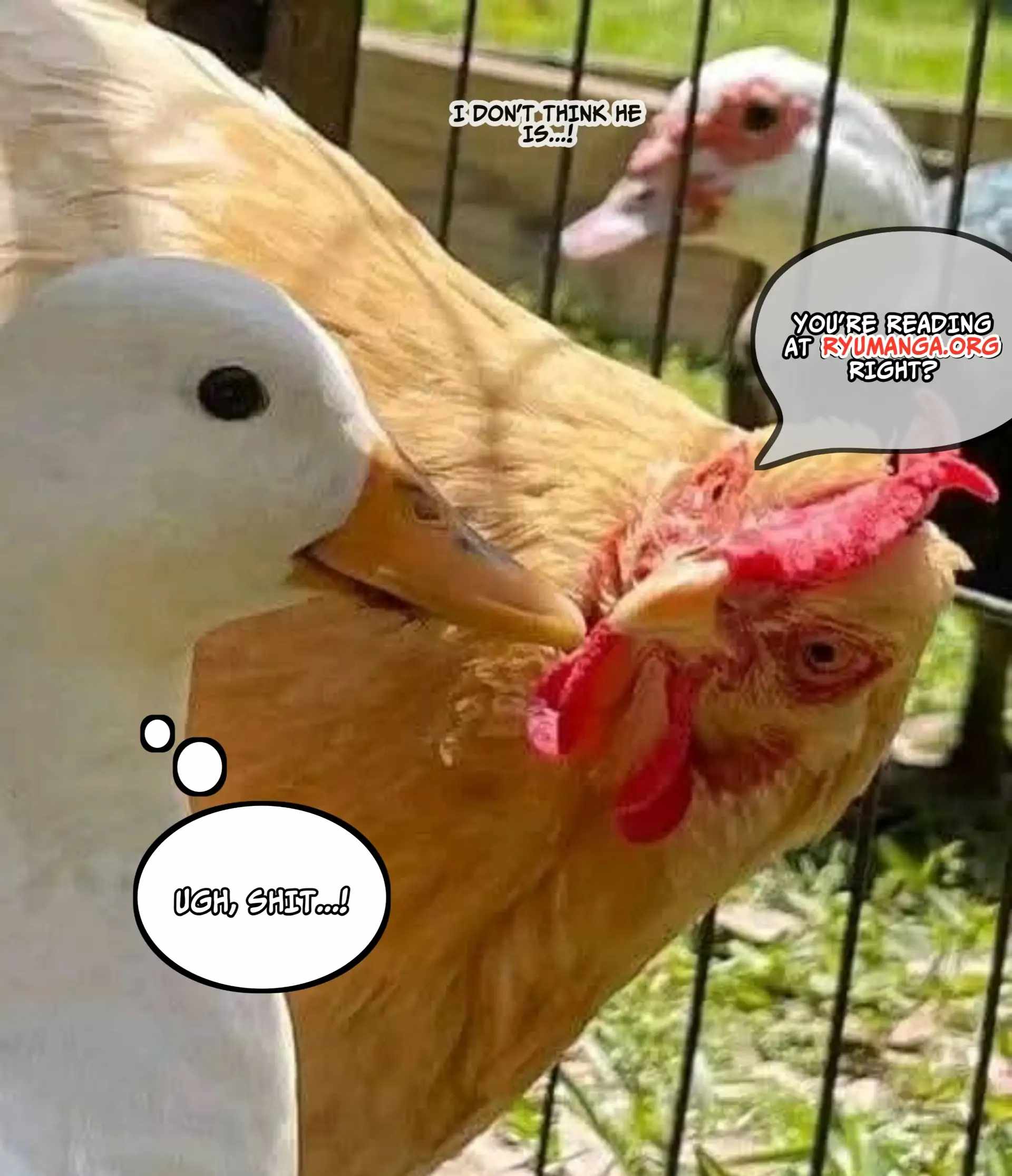 The Mercenary Group’s Beloved Child: The Orphan on the Brink of Death is Raised by the Mightiest Masters Chapter 2.2 - Page 15