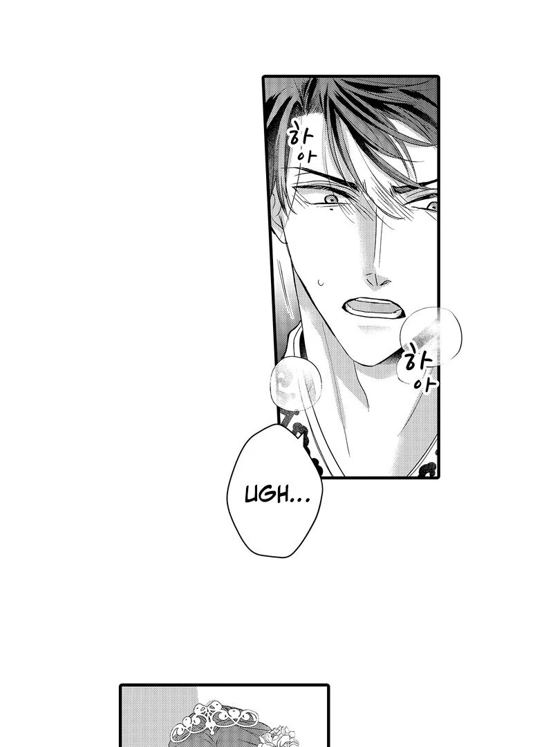 The Merciless Emperor’s Pet Consort Chapter 16 - Page 37