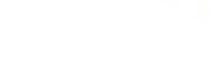 The Murdered Princess and the Innocent Traitor Chapter 60 - Page 5