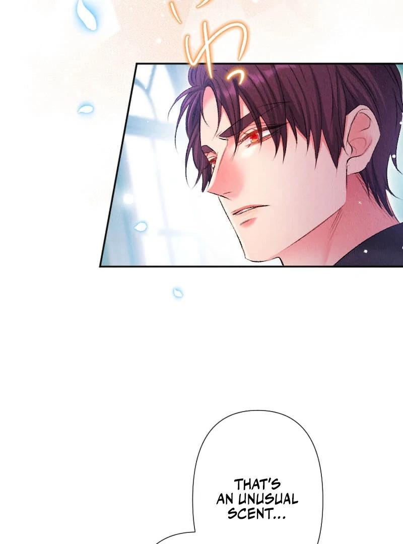 The Neglected Noble Lady Became the Beloved Caretaker of the Imperial Family Chapter 24 - Page 76