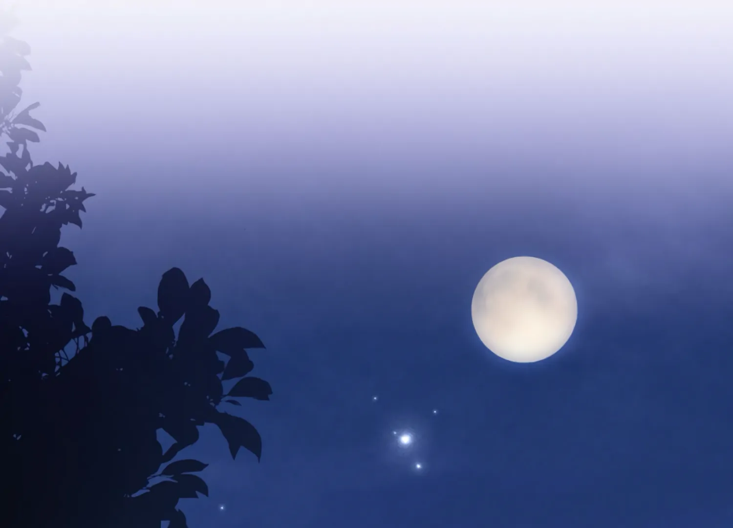 The Night When Flowers Fall Chapter 23 - Page 88