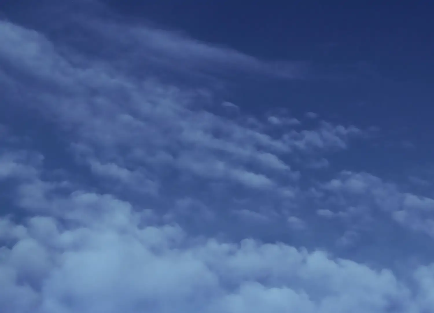 The Night When Flowers Fall Chapter 36 - Page 123