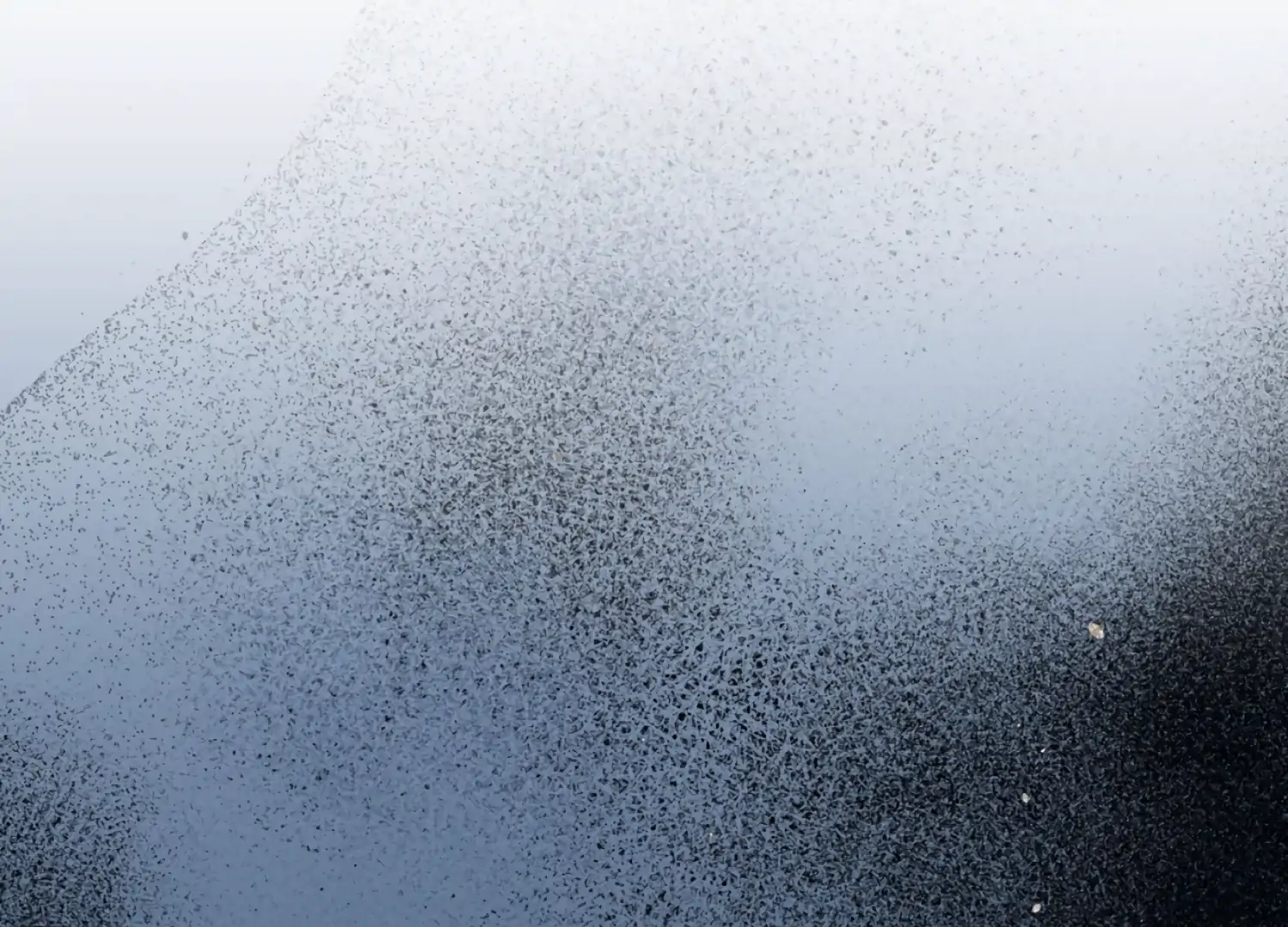 The Night When Flowers Fall Chapter 40 - Page 2