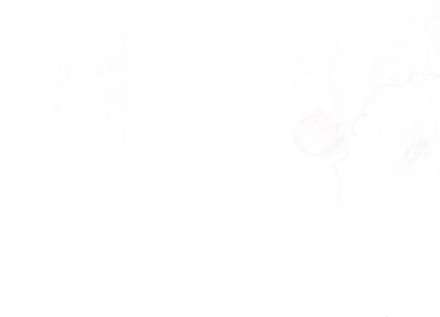 The Night When Flowers Fall Chapter 52 - Page 204