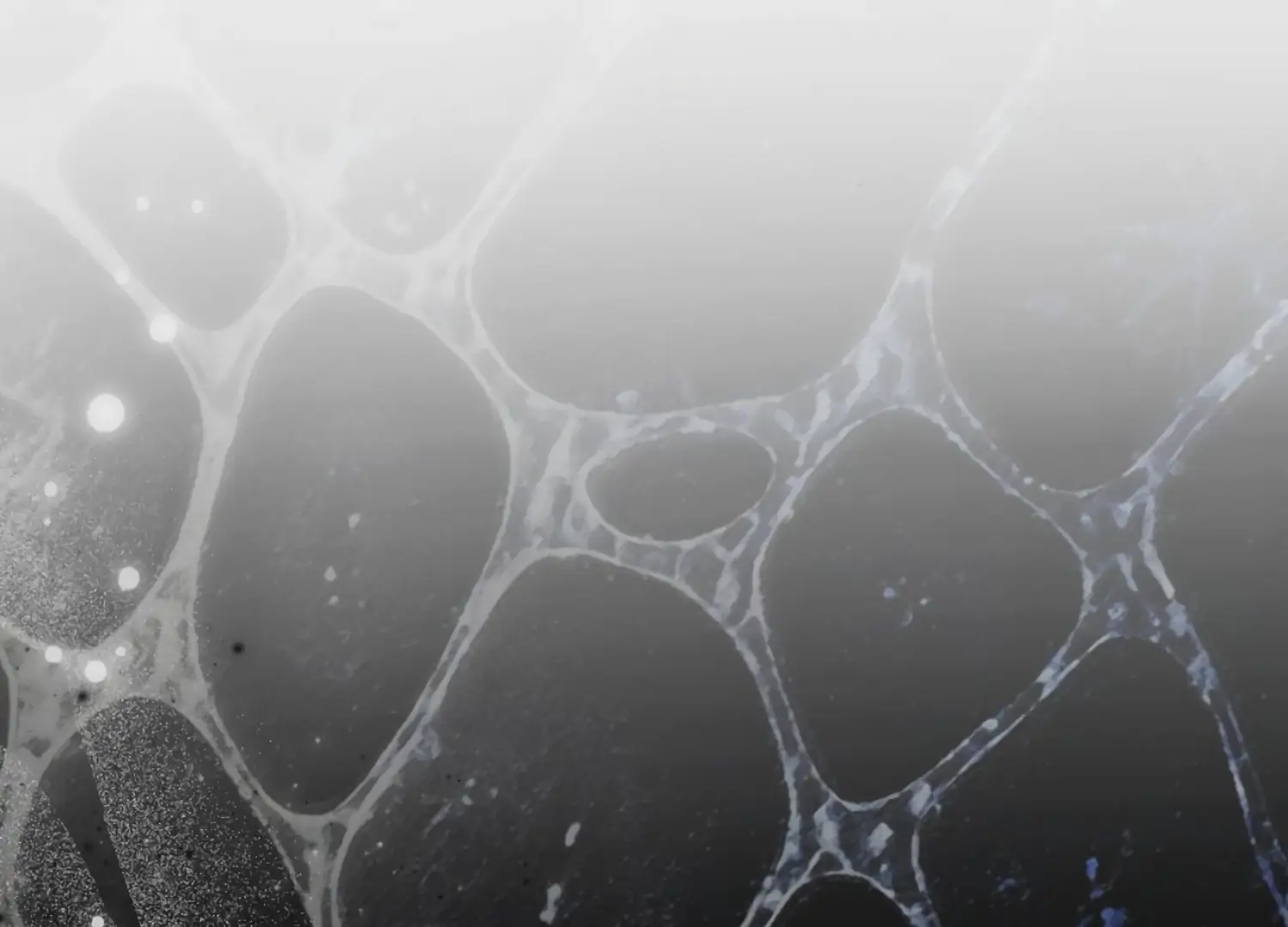 The Night When Flowers Fall Chapter 59 - Page 4