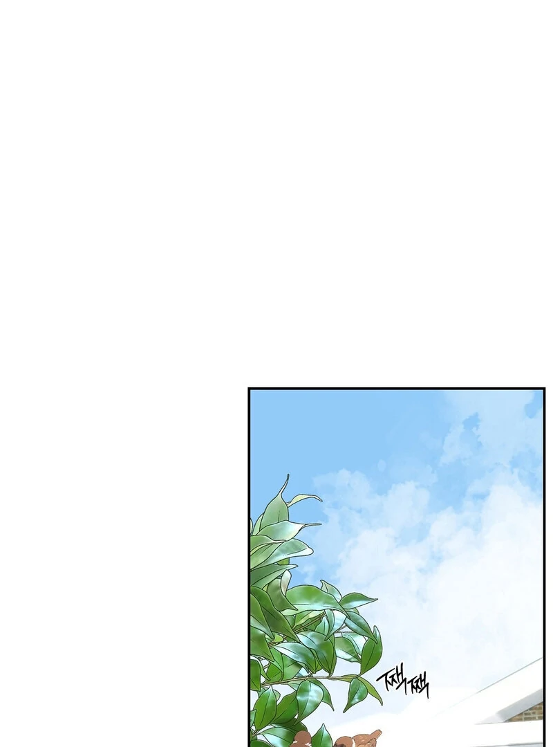 The Orchard’s Secrets Chapter 3 - Page 19