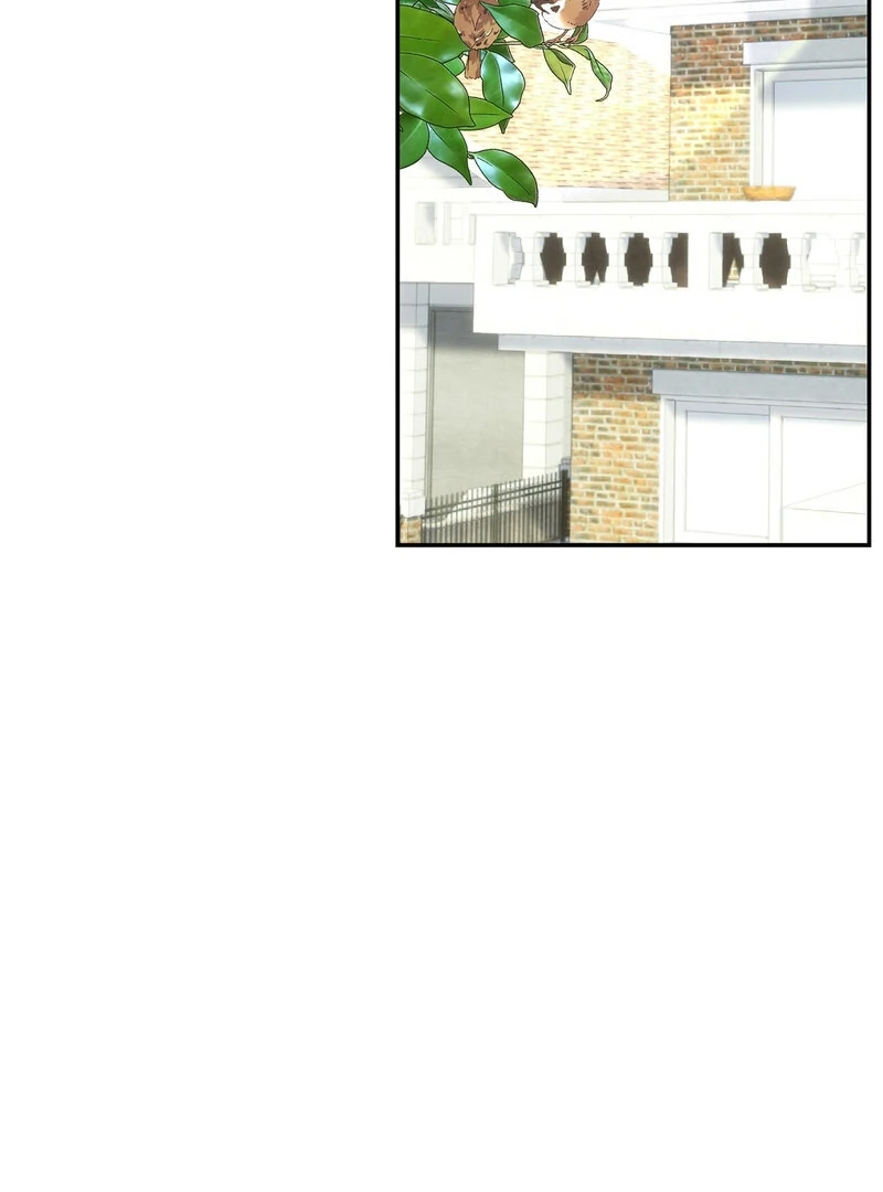 The Orchard’s Secrets Chapter 3 - Page 20