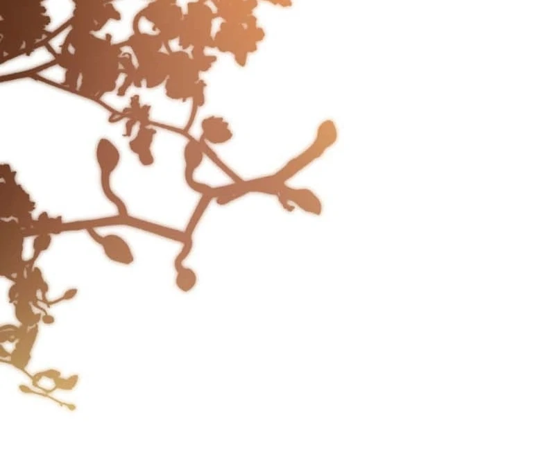 The Prince Meant for You Chapter 36 - Page 18