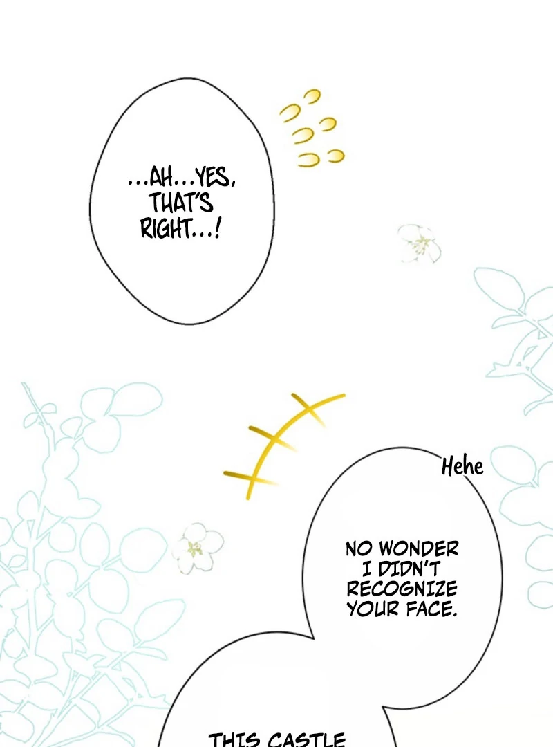 The Quiet Night You Disappeared Nowhere to Run from the Husband I Divorce Chapter 25 - Page 44