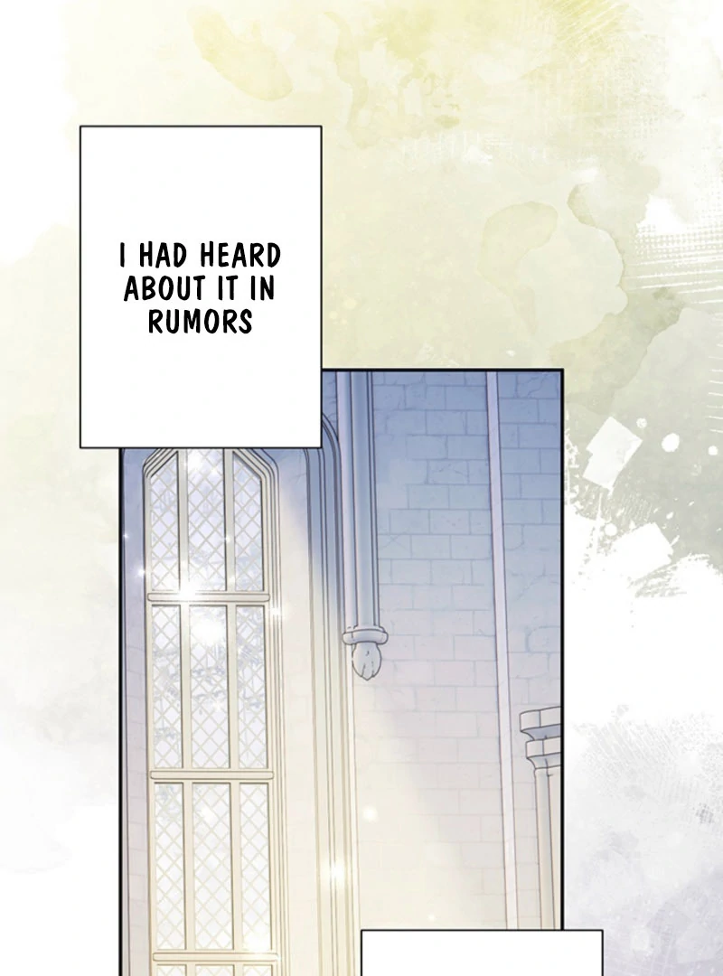 The Quiet Night You Disappeared Nowhere to Run from the Husband I Divorce Chapter 25 - Page 8