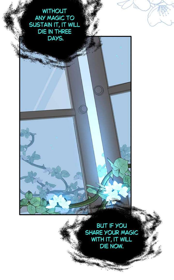 The Reborn Witch Raises a Templar Chapter 12 - Page 34