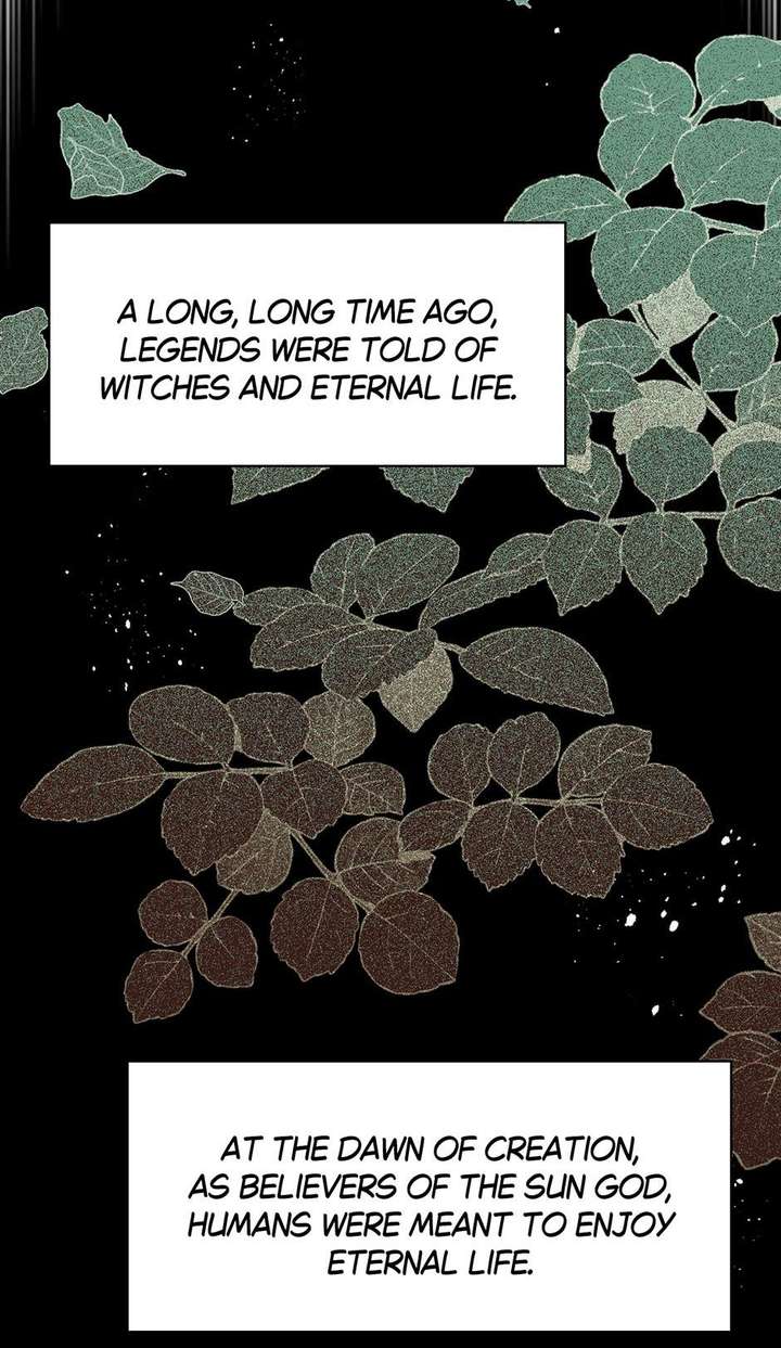 The Reborn Witch Raises a Templar Chapter 28 - Page 8