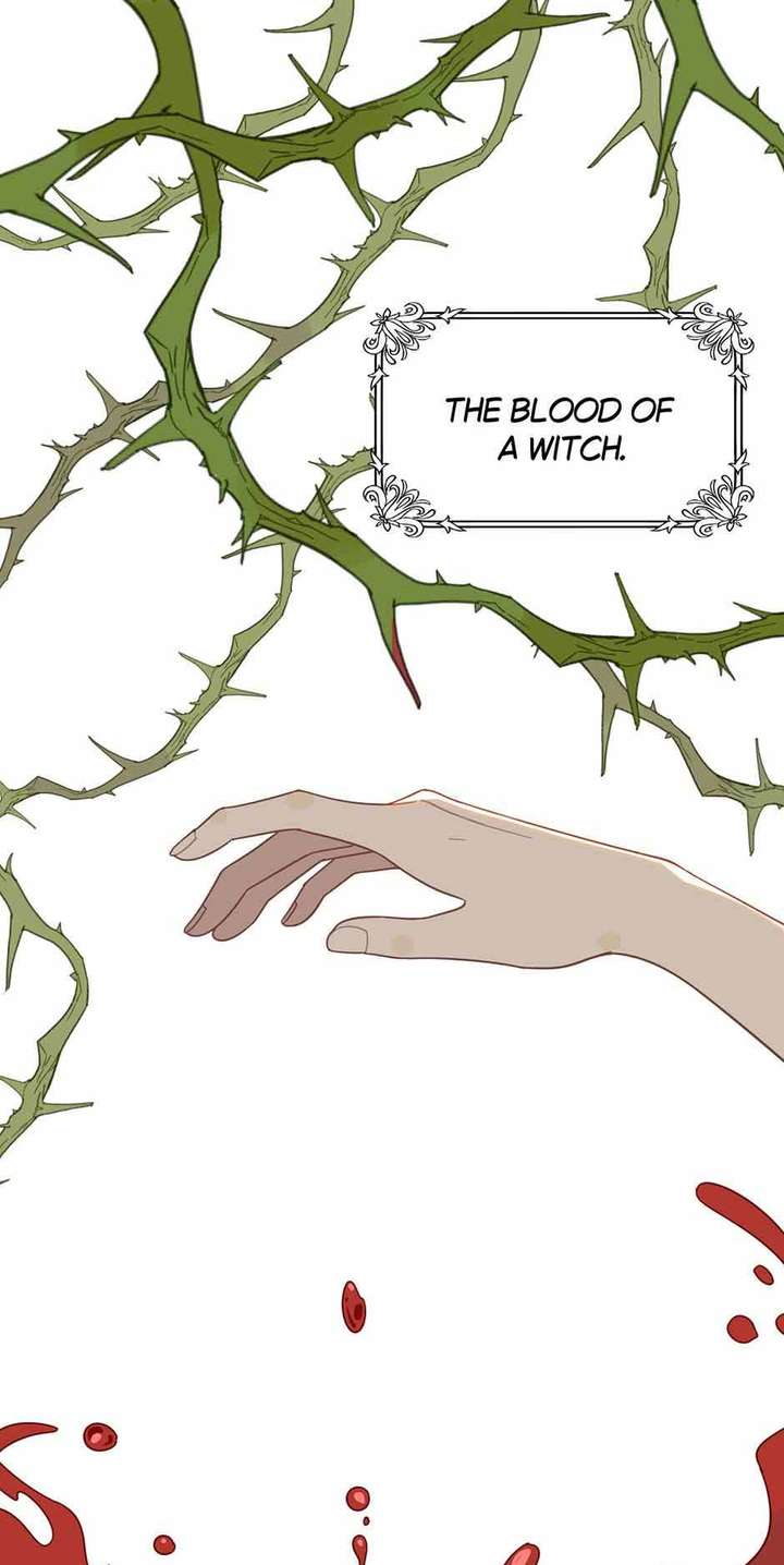 The Reborn Witch Raises a Templar Chapter 29 - Page 3