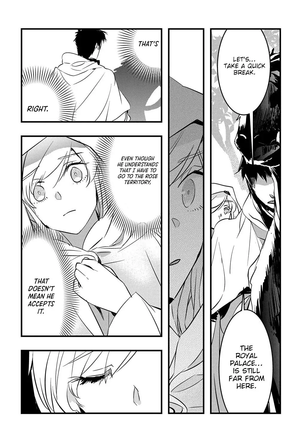 The Reincarnated Villainess Doesn’t Want Revenge Chapter 9 - Page 17