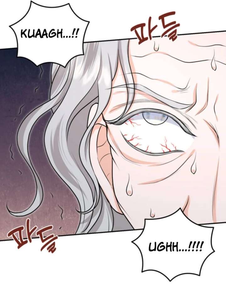 The S-Class Little Princess Is Too Strong Chapter 77 - Page 28