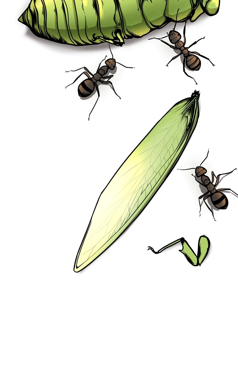 The Shell Chapter 1 - Page 7