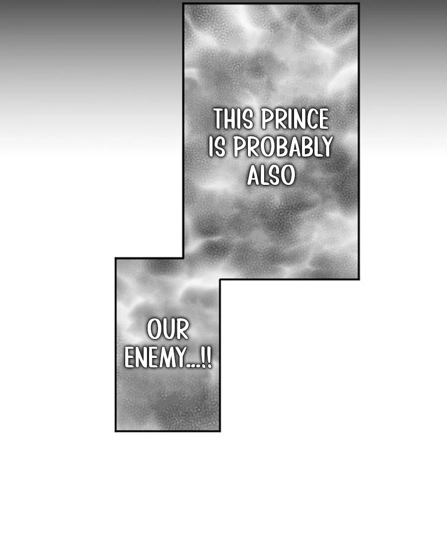 The Solitary Flower ~The Slum Girl Becomes a Princess and is Single-Mindedly Adored~ Chapter 2 - Page 28