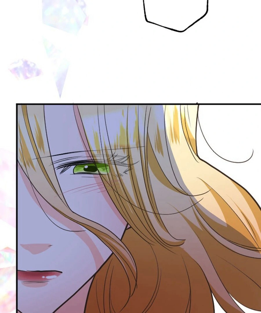 The Solitary Flower ~The Slum Girl Becomes a Princess and is Single-Mindedly Adored~ Chapter 2 - Page 94