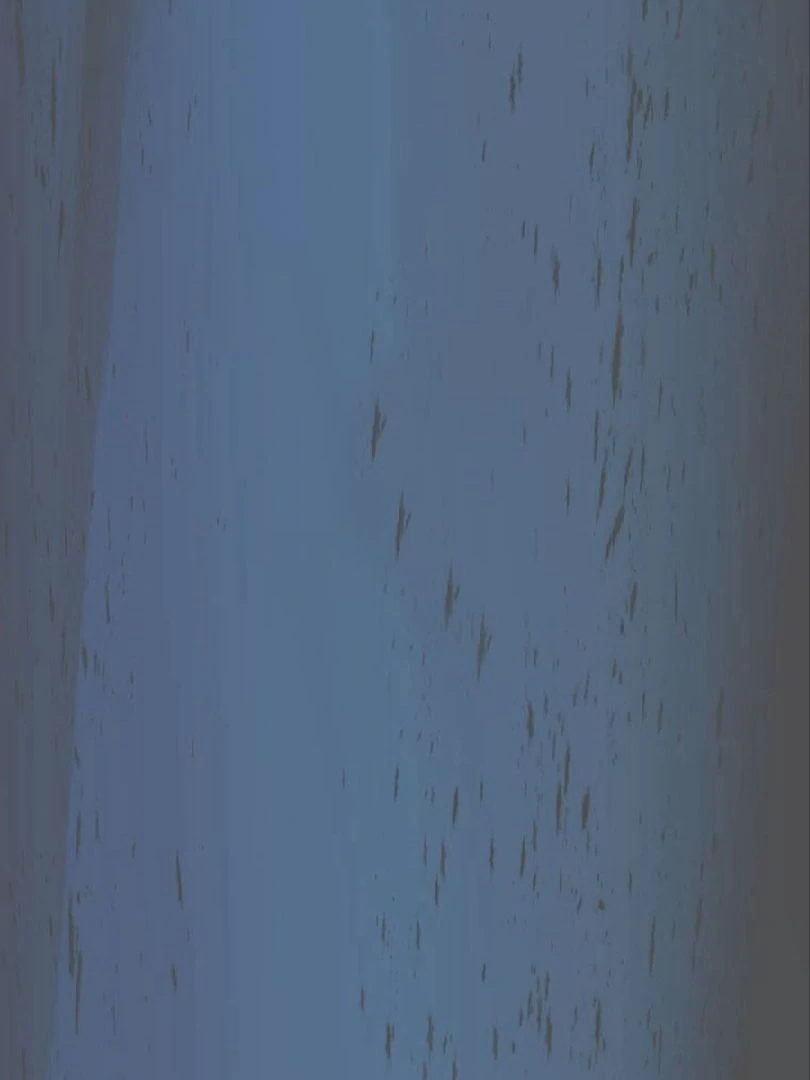 The Solitary Flower ~The Slum Girl Becomes a Princess and is Single-Mindedly Adored~ Chapter 4 - Page 114