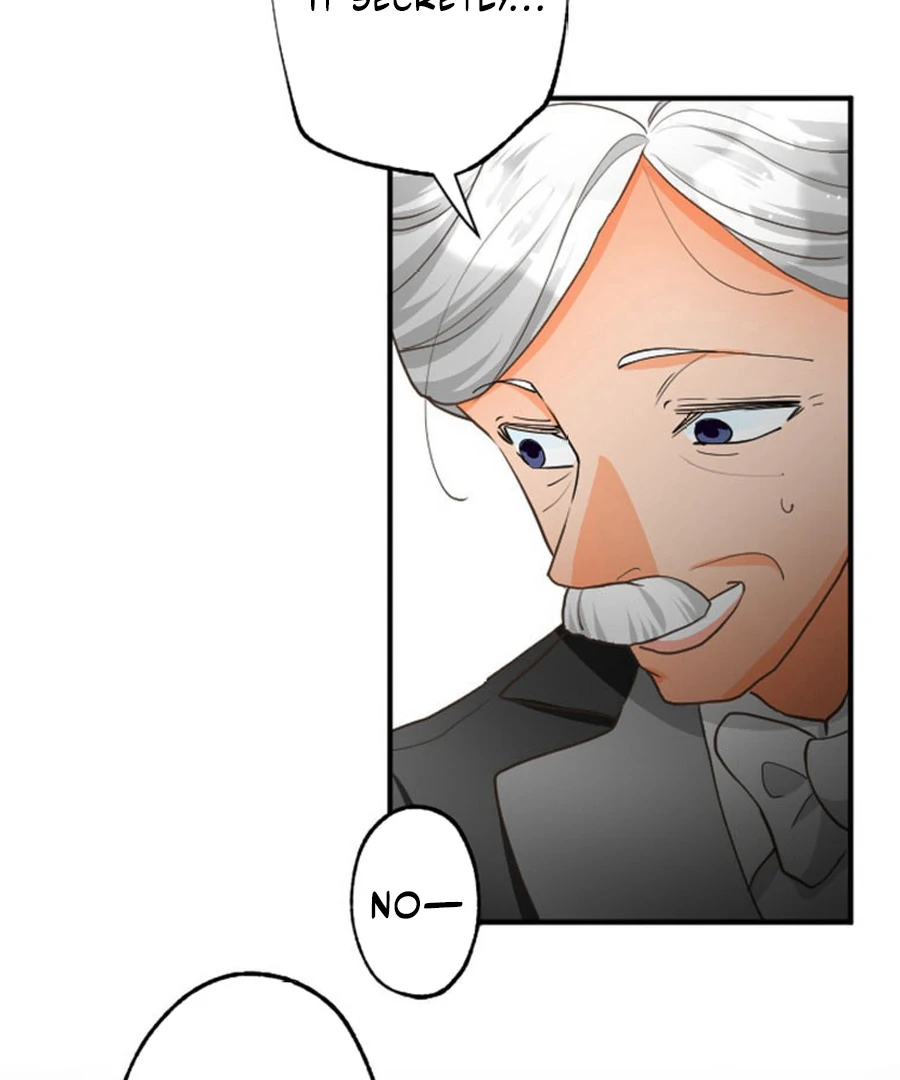 The Solitary Flower ~The Slum Girl Becomes a Princess and is Single-Mindedly Adored~ Chapter 6 - Page 35