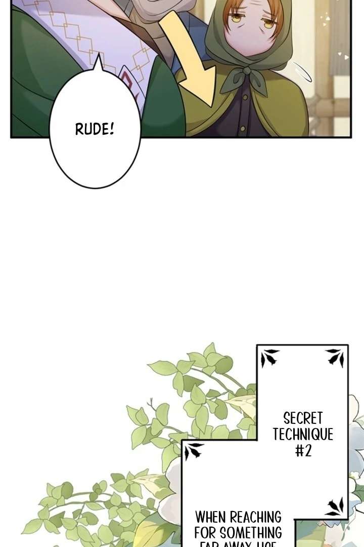 The Stone-Throwing Heiress: The King’s Younger Brother Can’t Stop Loving Her! Chapter 1 - Page 63